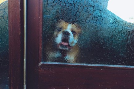 ��� ������� ���������� � ������� ������ � ��������� ��� ��������� ���