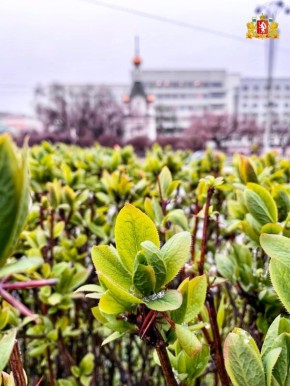 �������� ����� ������ ��������� ����� � ��� ���������� ����� � ������