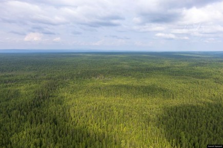 ������ ��������������� ����� �������� � ������������ ������� � 25 ������