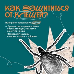 ���������� �������� �� ����������� �������� � ������������� ������ ��������� ��������������� �������� �� ������������ ����������� � ���������-������������������� ������������