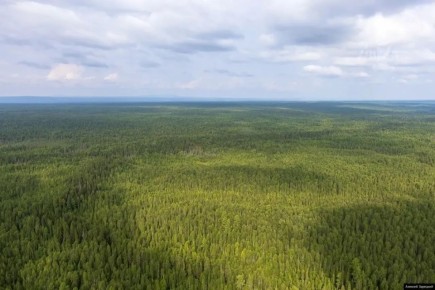 25 ������ � ����� ������� ���������������� ������ � ������������ �������