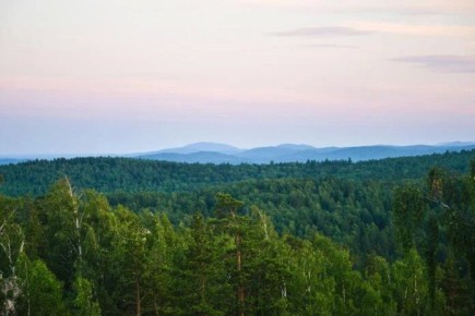 � ������������ ������� � 25 ������ �������� ������ ��������������� �����