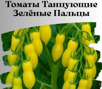 ������� ����������� ����� �� ������������ ������ ��������� ����������������