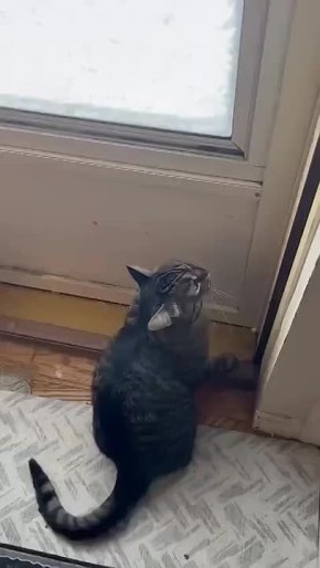 ������� ���� ������:. ���� ����� ��� ������� ������, �� ��������� ����