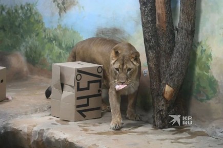 ��� ������������ ������, � ���� � ���������� ������: �������� �� �������� ����� ������������