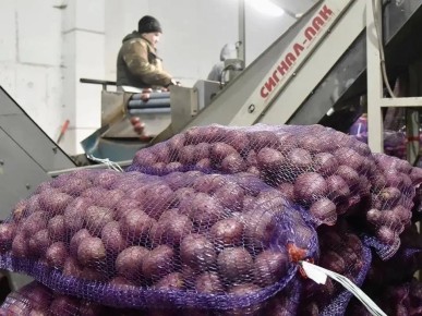 ����� �� 500 �� ���������� �������� ������� ��� ��������� � �������