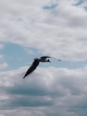 ���-���� � ������������� � ��� �����, ��� ������� ������ ���� � ��������