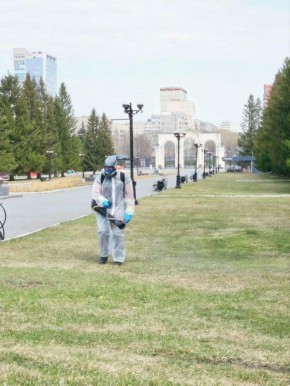 ���� ����������� ������������ �� ������