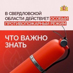 �� ���������, ��� � ������������ ������� ��������� ������ ��������������� �����