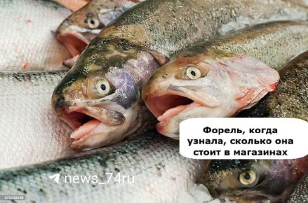������ � ����� ��������� ����� ������� ���� � ����������� �����