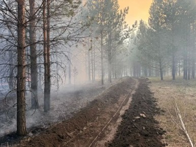 Все лесные пожары в Свердловской области ликвидируются в течение суток