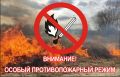 Запоминаем как мантру: что нельзя делать во время особого противопожарного режима