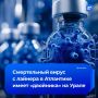 Смерти на лайнере в Атлантике привлекли внимание к хантавирусу на Среднем Урале
