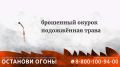 Причина 90% лесных пожаров – человек