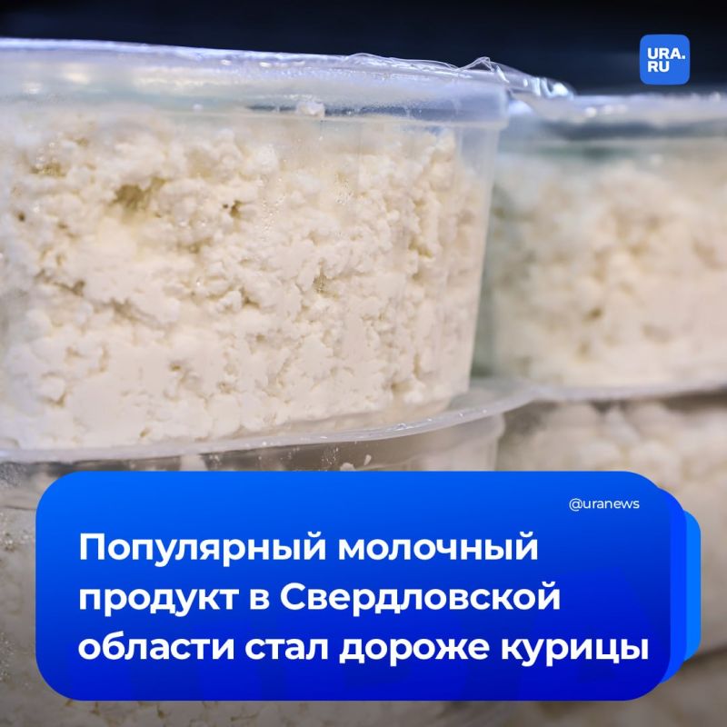 Творог дороже курицы: полезный продукт подорожал на 52% за 5 лет