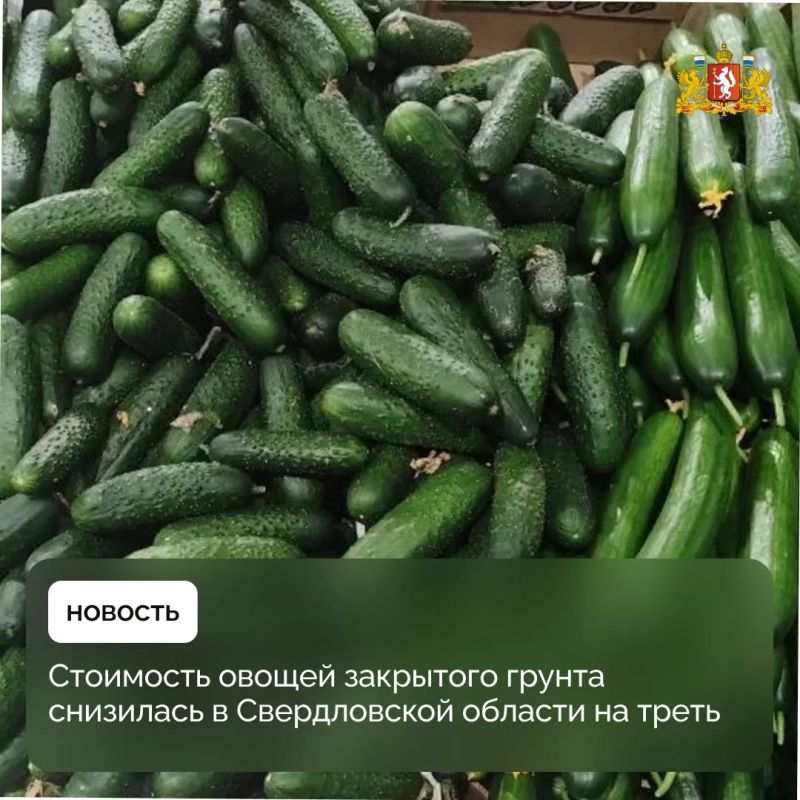 Стоимость огурцов в Свердловской области в мае снизилась на 34,6%