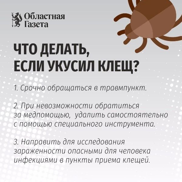 Бесплатная прививка от клещей снова доступна для свердловчан старше 60 лет