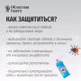Поставить бесплатную прививку от клещевого энцефалита смогут свердловчане старше 60 лет