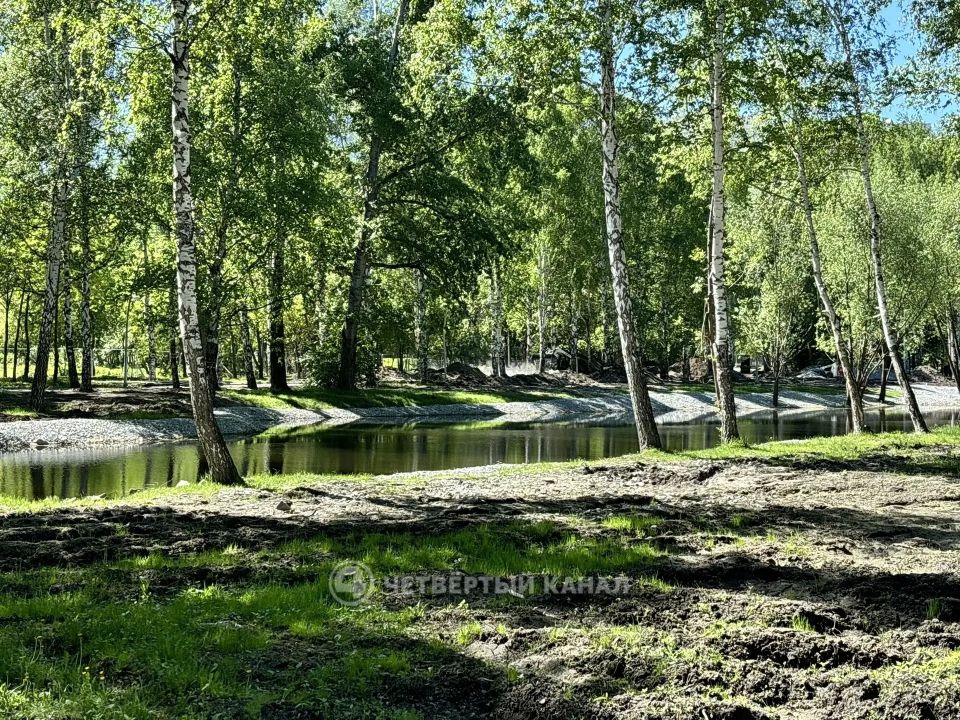 Екатеринбургу может не хватить "голосов" для получения федеральных денег на благоустройство парков Екатеринбургу может не хватить "голосов" для получения федеральных денег на благоустройство парков