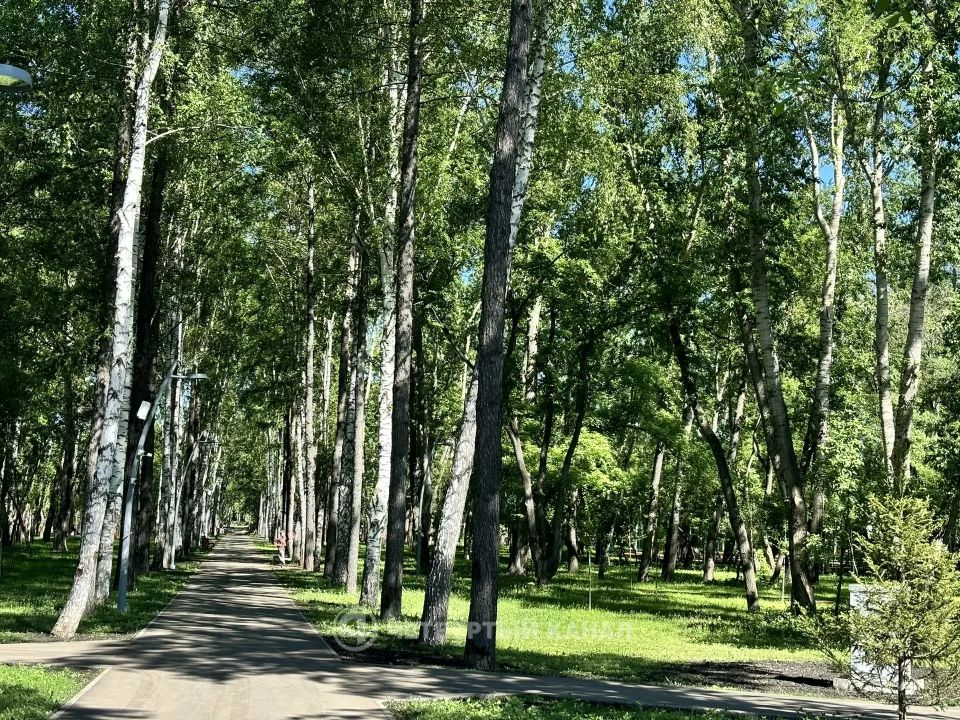 Екатеринбургу может не хватить "голосов" для получения федеральных денег на благоустройство парков Екатеринбургу может не хватить "голосов" для получения федеральных денег на благоустройство парков