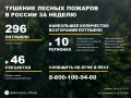 По данным Авиалесоохраны, подведомственной организации Рослесхоза, за прошедшую неделю потушено 296 лесных пожаров в 45 регионах России