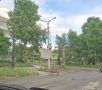 Гуляющих свинок снова заметили в Ревде