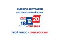 Голосование на выборах депутатов Госдумы нового созыва пройдет 18,19 и 20 сентября 2026 года Элла Памфилова: