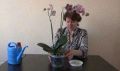Тайны ухода за орхидеями: как правильно поливать в домашних условиях