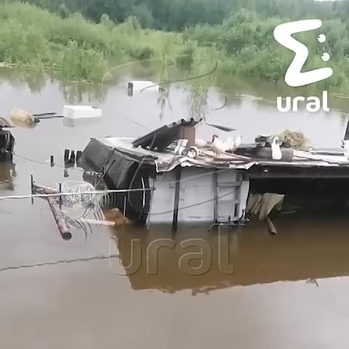 Видео из затопленного СНТ под Нижним Тагилом, где власти отказались вводить режим ЧС