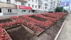 Доброе утро! На улице Фрунзе специалисты Службы экологической безопасности обновляют большую клумбу