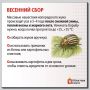 Колорадский жук наступает! Как защитить урожай?