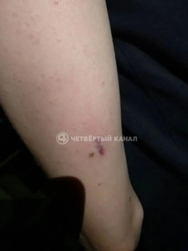 «Стрелял детям в спину»: мама пострадавшего подростка опровергла версию стрелка из Берёзовского «Стрелял детям в спину»: мама пострадавшего подростка опровергла версию стрелка из Берёзовского