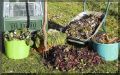 Быстрый компост: секреты и советы для дачников