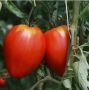 Томат Роза де Бихор: изысканный сорт с неповторимым вкусом и ароматом