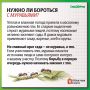 Муравьи заполонили участок? Не спешите уничтожать их