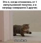5 жестких правил, чтобы не совершать импульсивных покупок (даже если очень хочется)