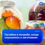 В Свердловской области семья из трех человек задохнулась в погребе