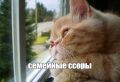 В 5 тысяч обошелся словесный баттл между родственниками в Тавде