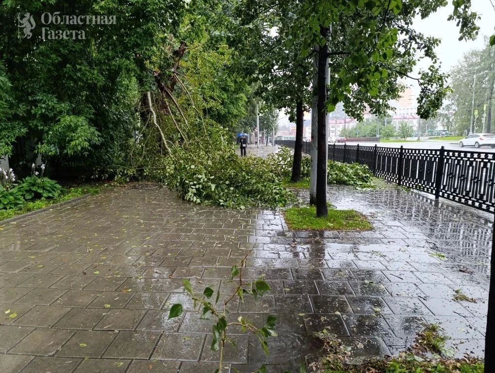 Екатеринбург после дождя в объективе фотографа «Областной газеты» Екатеринбург после дождя в объективе фотографа «Областной газеты»