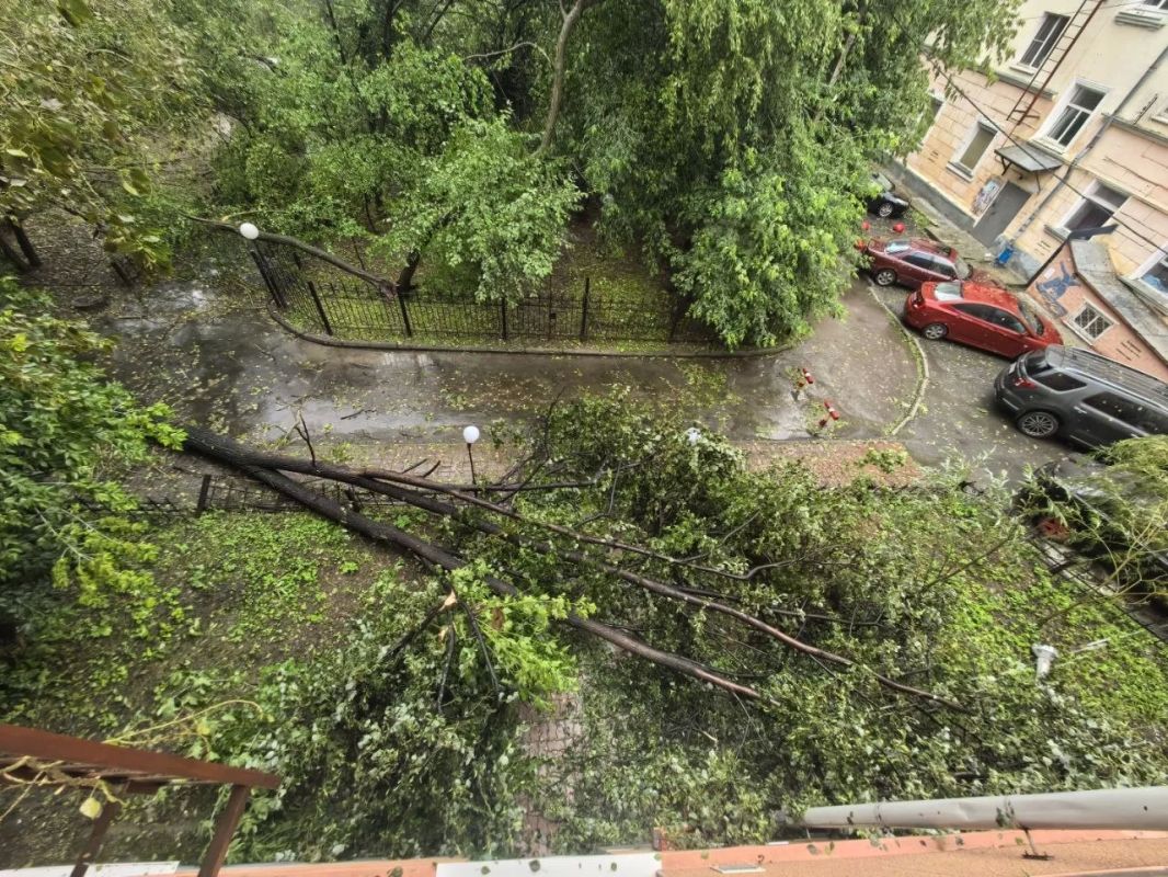 Екатеринбург накрыл самый мощный ливень этого лета Екатеринбург накрыл самый мощный ливень этого лета