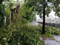 Екатеринбург после дождя в объективе фотографа «Областной газеты»
