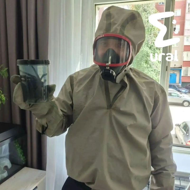 Тропический паук размером с ладонь залез в квартиру женщины в Сургуте Тропический паук размером с ладонь залез в квартиру женщины в Сургуте