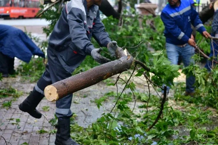 Люди с бензопилами вышли на улицы Екатеринбурга после шторма Люди с бензопилами вышли на улицы Екатеринбурга после шторма