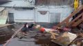 Очень трогательные кадры: в Ирбите из затопленного дома эвакуировали пенсионерку Марию Владимировну и её верного пса Филю Неделю женщина жила на втором этаже, спала на надувном круге и боялась воды, переживала за вещи и...