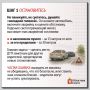 Попали в ДТП? Не паникуйте!