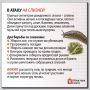 Дожди не отступают? Рассказываем, как спасти от переувлажнения почву и урожай
