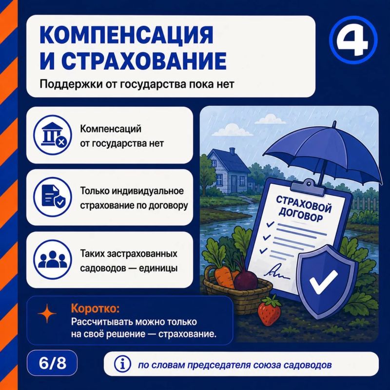 «Ягоды есть нельзя, даже если куст уцелел»: садоводам объяснили, что делать с урожаем после паводка «Ягоды есть нельзя, даже если куст уцелел»: садоводам объяснили, что делать с урожаем после паводка