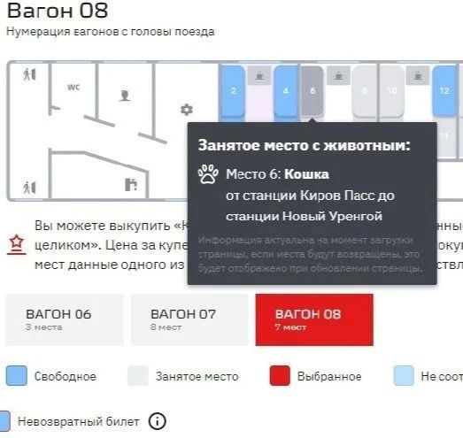 Билет для тех, у кого лапки Билет для тех, у кого лапки
