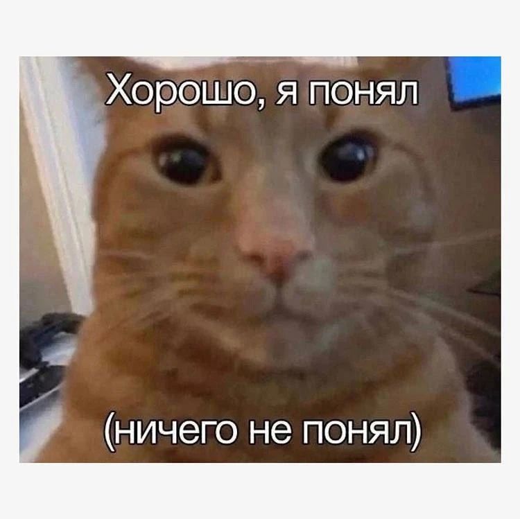Ваши питомцы постоянно говорят с вами! Просто не словами
