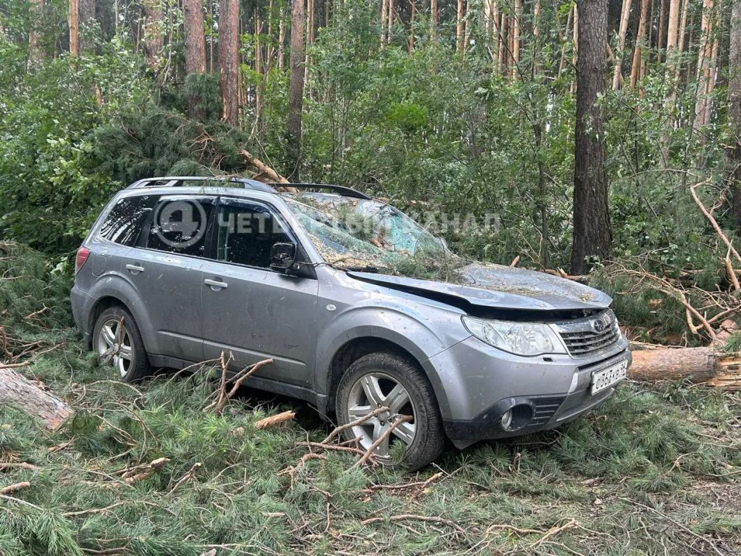 Ущерб на миллионы рублей: дачники подсчитывают потери после урагана Ущерб на миллионы рублей: дачники подсчитывают потери после урагана